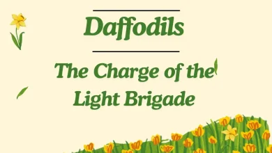 Yeats Poems