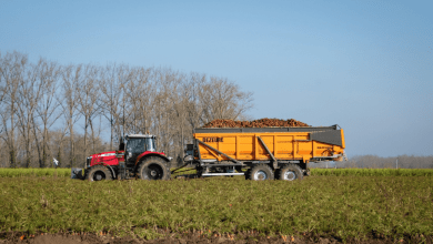 Screenshot 40