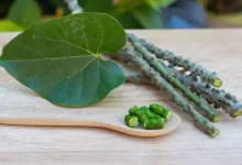 How guduchi products online Are Reviving Immunity and Gut Health Naturally